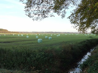 Ferienhaus Ørding  28