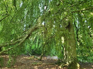 Casa per le vacanze Ørding  36