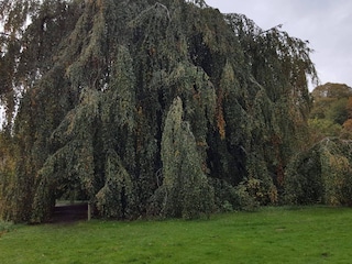 Ferienhaus Ørding  34