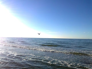 Holiday house Zierow  24