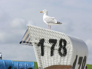 Vakantiehuis Zierow  23