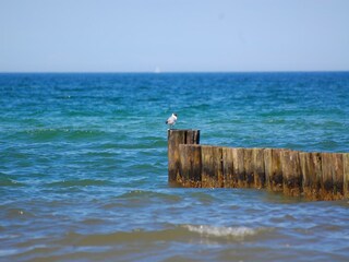 Apartamento Zierow Entorno 27