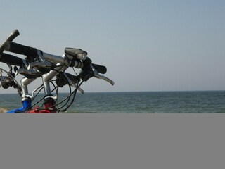 Appartement Zierow Omgeving 18