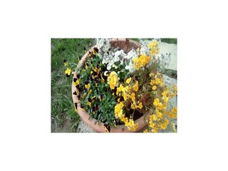 Holiday house Moravice Outdoor Recording 18