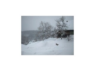 Holiday house Moravice Outdoor Recording 19
