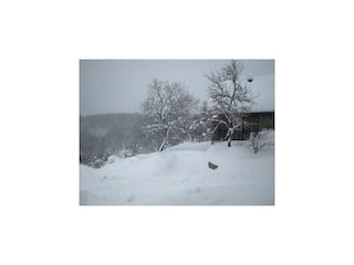 Maison de vacances Moravice Enregistrement extérieur 19