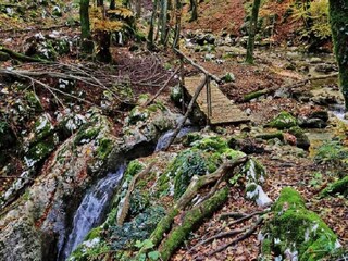 Villa Boljun Omgeving 33