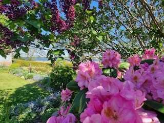 Blick aus dem Garten zur Schlei