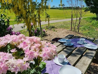 Ruhebank im Obstgarten