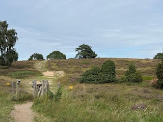 Maison de vacances Dronningmølle  30