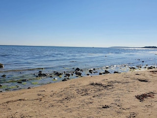 Ferienhaus Dronningmølle  40