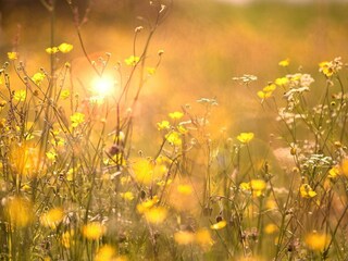 Vakantiehuis Gönäs  18