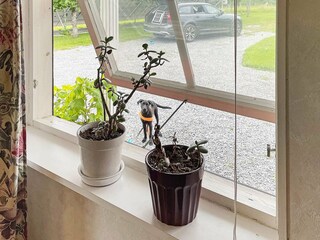 Vakantiehuis Gönäs  13