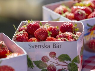 Vakantiehuis Gönäs Buitenaudio-opname 1