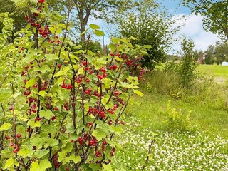 Vakantiehuis Gönäs  11