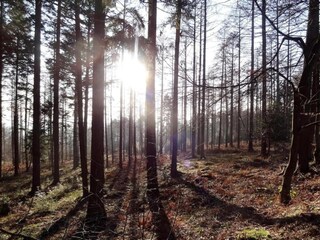 Vakantiehuisje Stoumont Omgeving 24