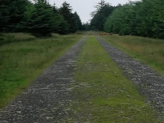 Casa de vacaciones Stoumont Entorno 26