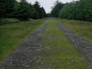 Vakantiehuisje Stoumont Omgeving 26