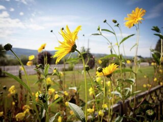 Casa de vacaciones Stoumont  39