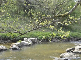 Maison de vacances Fauvillers Environnement 20