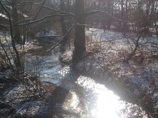 Vakantiehuisje Nassogne Omgeving 36