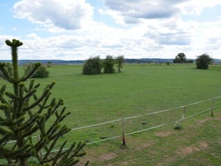 Holiday cottage Nassogne Environment 33