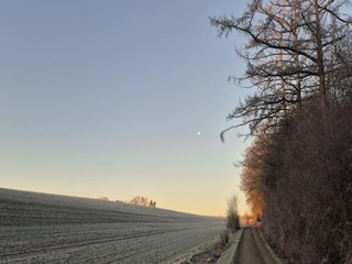 Maison de vacances Herzberg am Harz Environnement 27