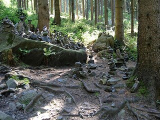 Vakantiehuis Herzberg am Harz Omgeving 29