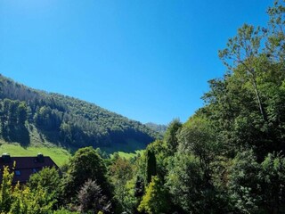 Holiday house Herzberg am Harz Environment 28