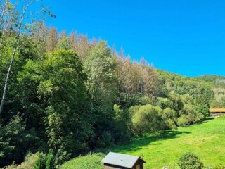 Holiday house Herzberg am Harz Environment 30
