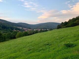 Holiday house Herzberg am Harz Environment 31