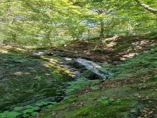 Vakantiehuis Herzberg am Harz Omgeving 27