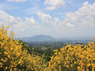 Farmhouse Casperia Environment 37