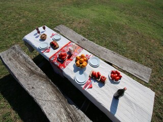 Farmhouse Casperia Outdoor Recording 17