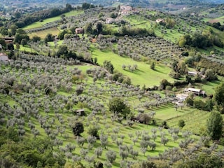 Casa de campo Casperia Entorno 37
