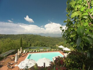 Cottage Figline Valdarno Outdoor Recording 8