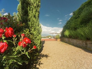 Landhaus Figline Valdarno  40