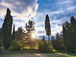 Landhaus Figline Valdarno Umgebung 32