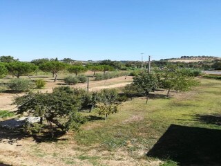 Vakantiehuisje Figline Valdarno Omgeving 36