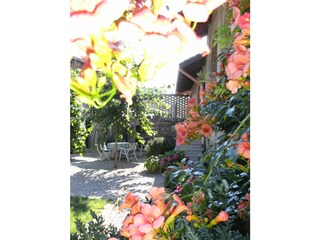 Appartamento per vacanze Monforte d'Alba Registrazione all'aperto 5