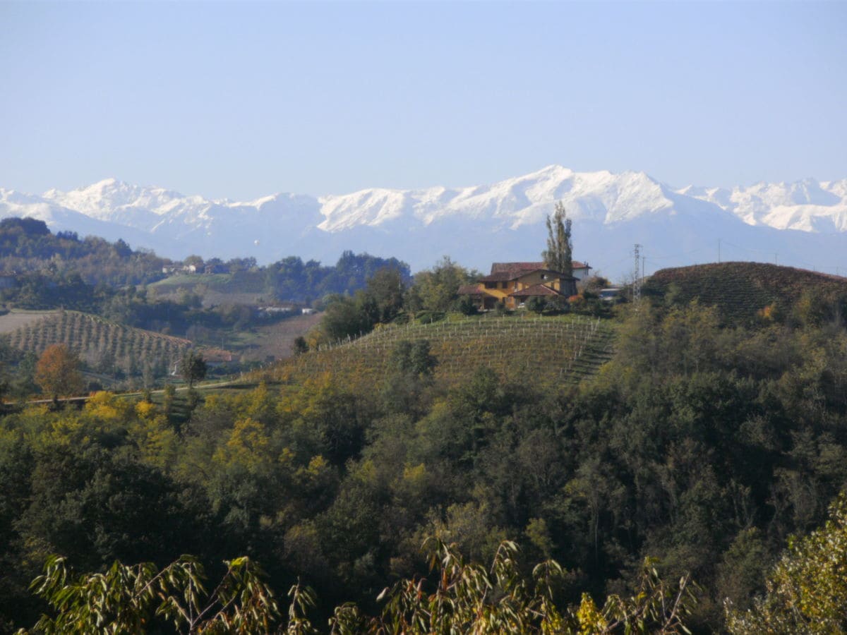 Blick vom Hof nach Süden