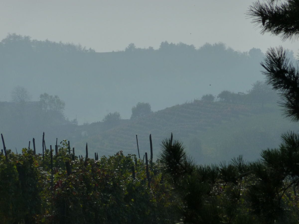 In den Hügeln der Langhe