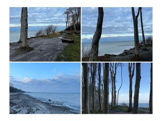 Ausflugsziel Gespensterwald in Nienhagen