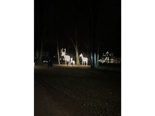 Winterliche Dekoration im Baltic Park