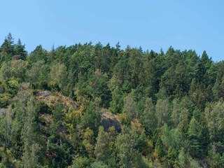 Vakantiehuis Göteborg  24