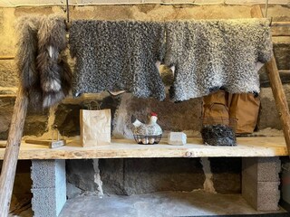 Vakantiehuis Flen  51