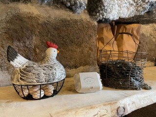 Vakantiehuis Flen  27