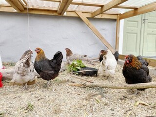 Ferienhaus Flen Außenaufnahme 3