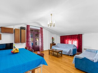 Villa Višnjan Caratteristiche 12