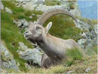 EE9E963C-AC5A-460D-B66C-5D3410ACD3CA